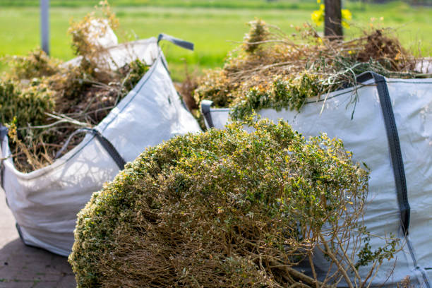 Best Yard Waste Removal  in Wickenburg, AZ
