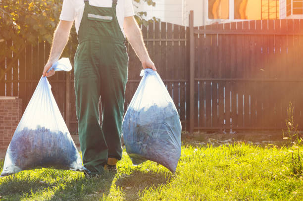 Best Household Junk Removal  in Wickenburg, AZ
